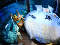 Köpek balıklarıyla dolu akvaryumda özel bir gece / Foto Galeri 15 paris 15