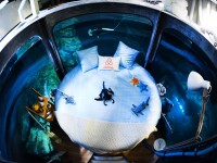 Köpek balıklarıyla dolu akvaryumda özel bir gece / Foto Galeri 16 paris 16