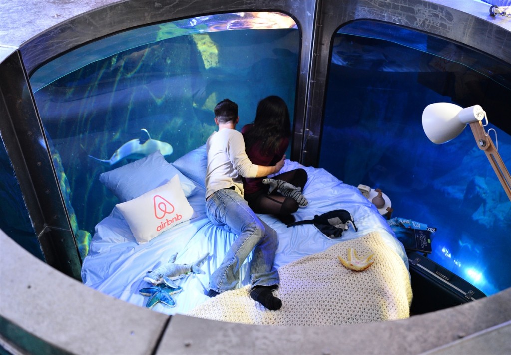 Köpek balıklarıyla dolu akvaryumda özel bir gece / Foto Galeri 20 paris 17