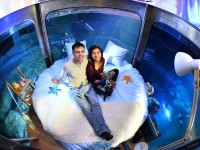 Köpek balıklarıyla dolu akvaryumda özel bir gece / Foto Galeri 18 paris 18