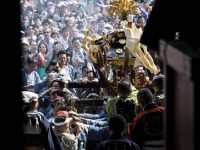 Sanja Matsuri Festivali 5