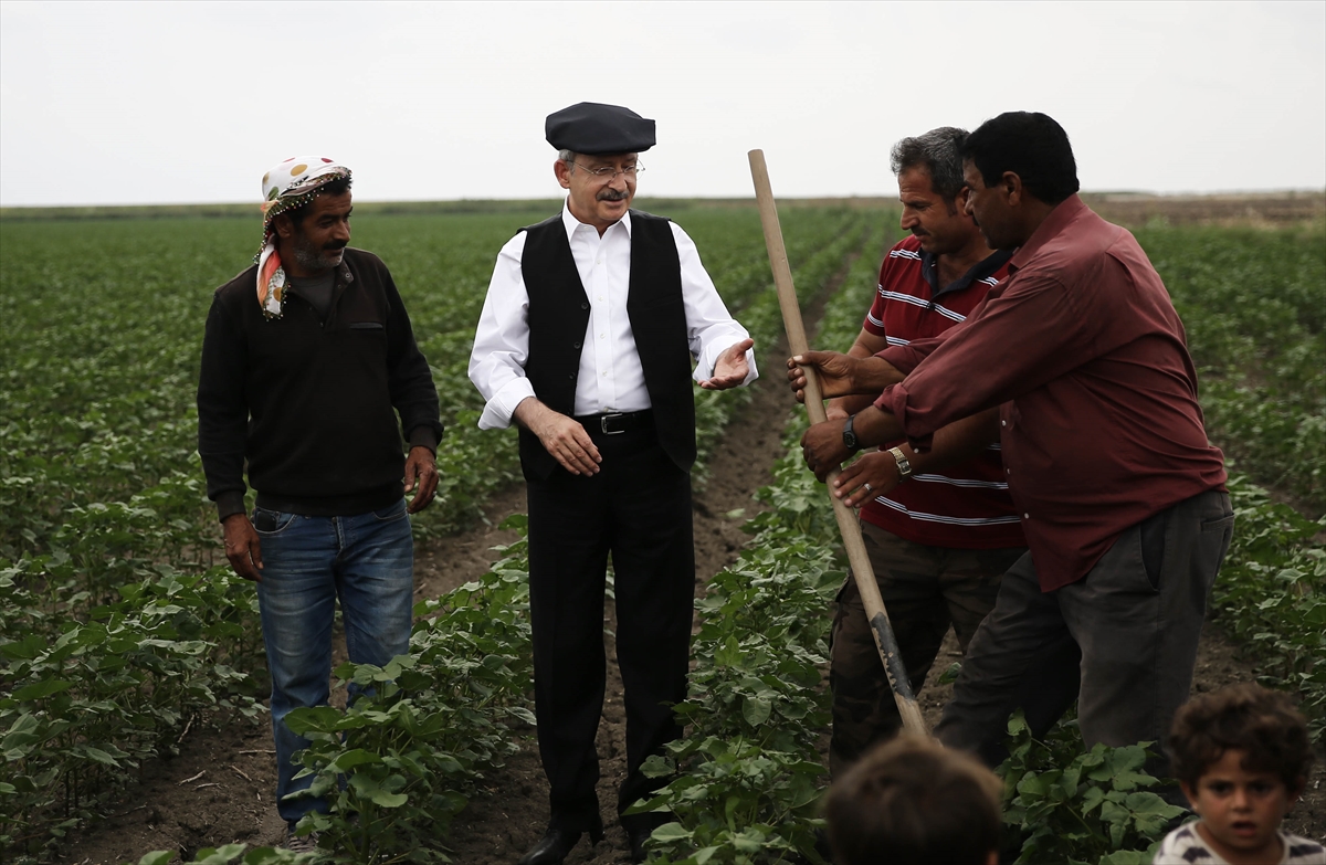 kilicdaroglu tarla