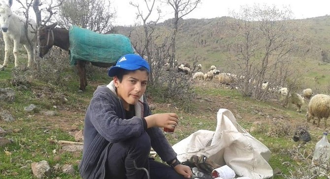 Çemişgezek'ten Robert Koleji'ne uzanan bir başarı öyküsü 1 teog turkiye birincisi robert koleji