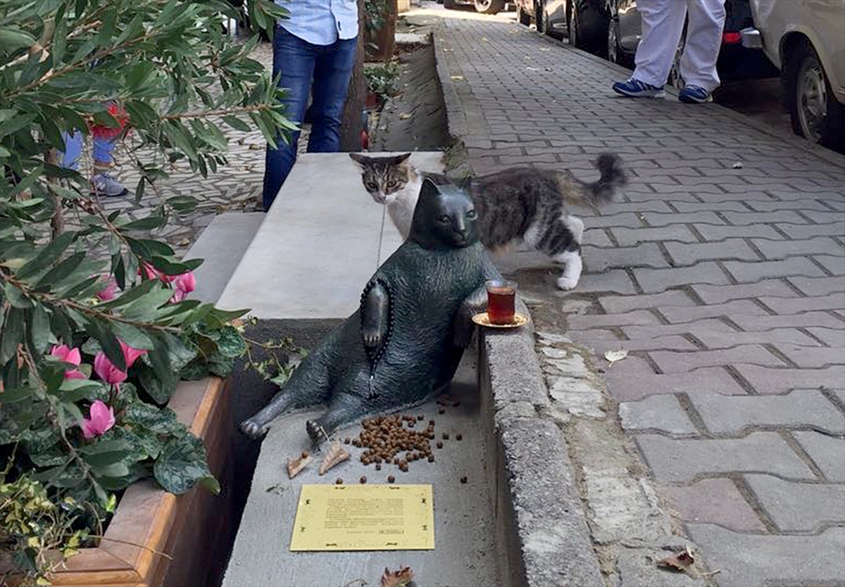 "Tombili"nin heykeli tamamlandı 1 tombili heykel
