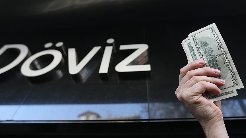 dolar doviz