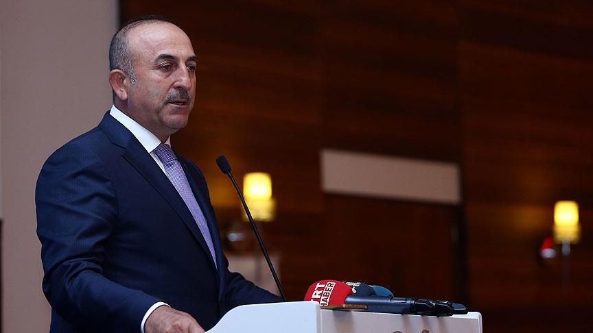 mevlut cavusoglu 12471