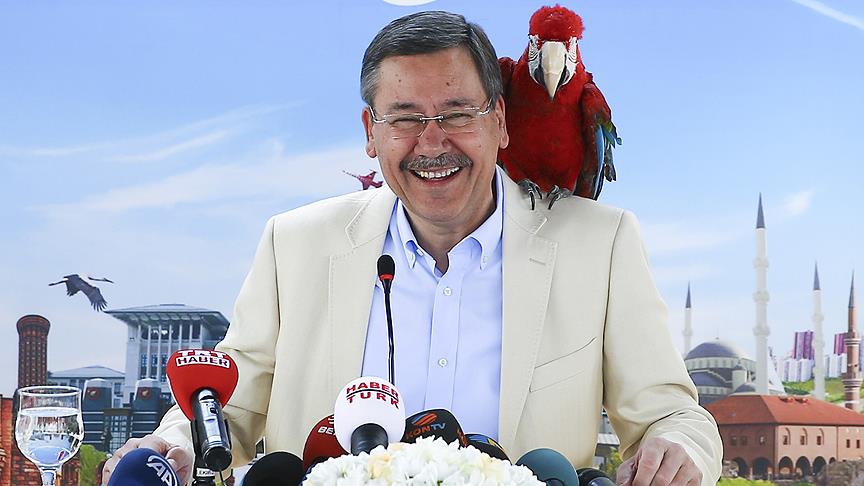 melih gokcek papagan