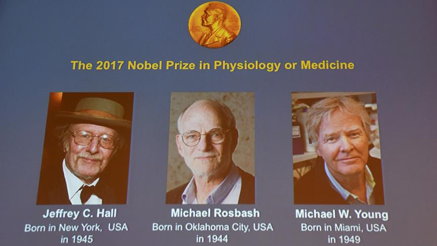 nobel tip 2017