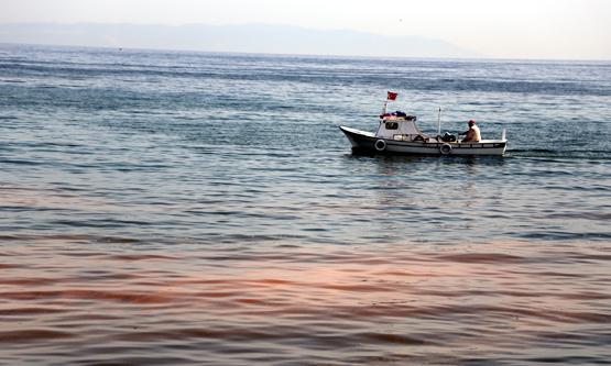 marmara denizi