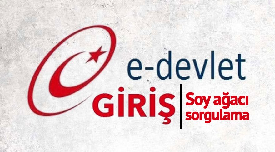 E-devlet'in 'Soy Ağacı' sorgulamasına günlük kota geldi! 1 e devlet soy agaci