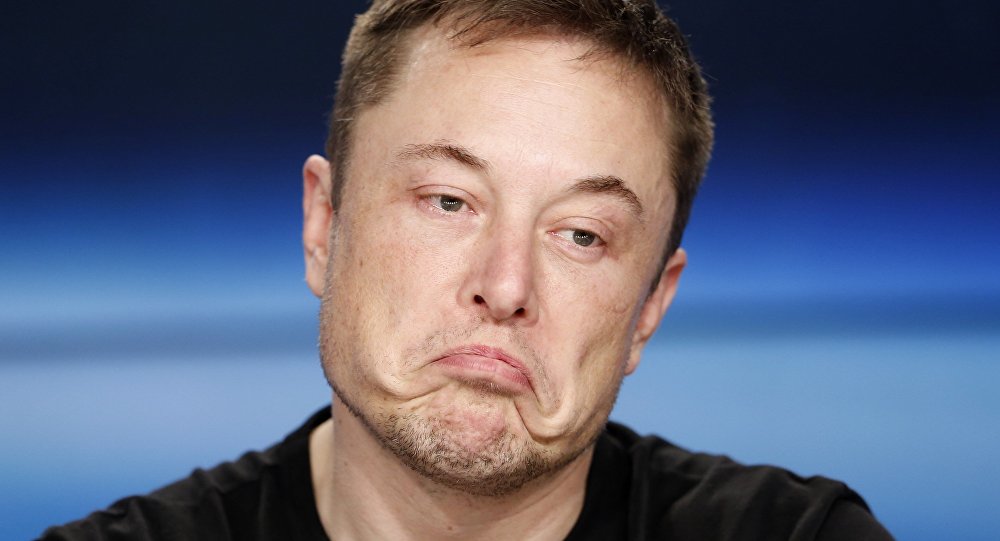 elon musk 12981818