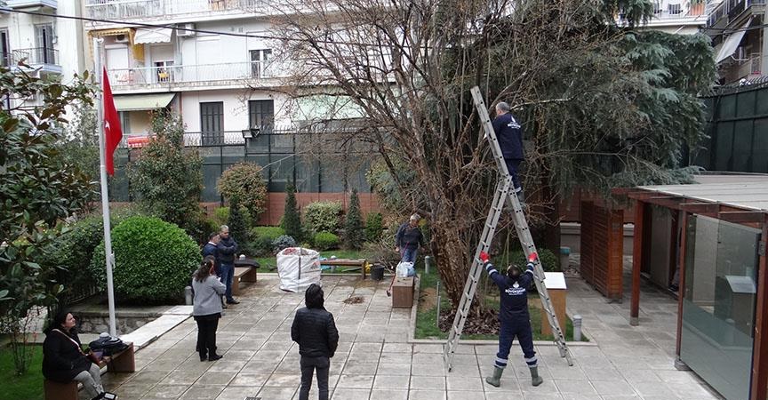 Selanik'te "Ata yadigarı" nar ağacına bakım 1 selanik ataturk evi nar agaci