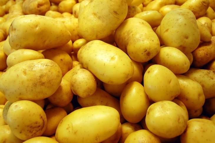 patates 1294871