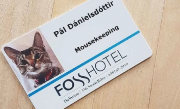 otel calisani kedi mousekeeping