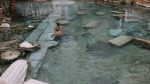 pamukkale 192348711