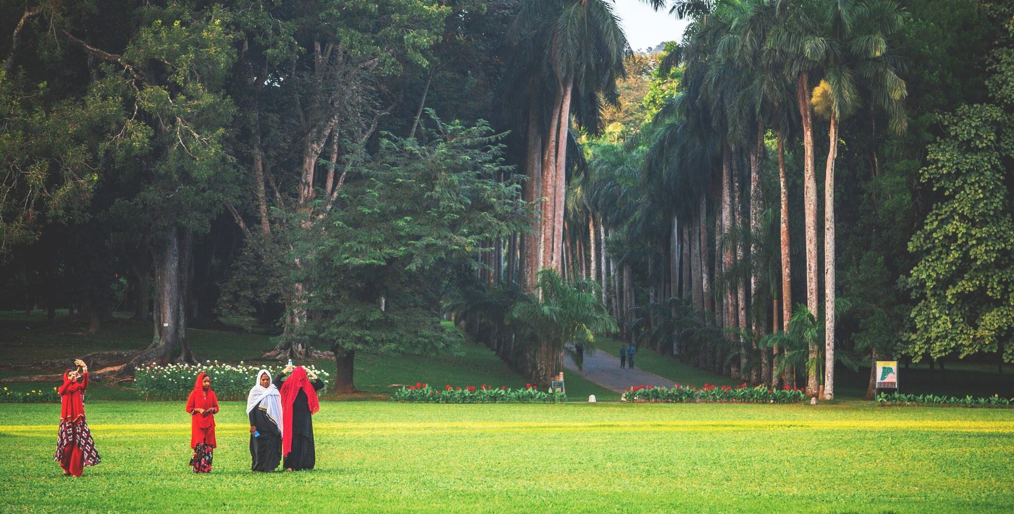Kandy'den Ella'ya... Sri Lanka'da büyüleyici tren yolculuğu 3 Royal Botanical Gardens (Sri Lanka Kraliyet Botanik Bahçeleri)