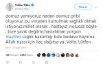 yildiz tilbe domuz gribi