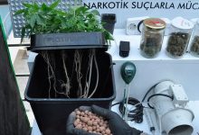 topraksiz tarim hint keneviri