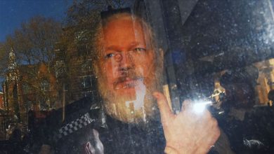 assange gozaltinda