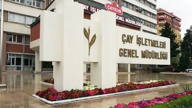 ÇAYKUR zararını üçe katladı! 657 milyon Türk Lirası! 12 caykur