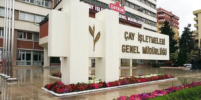 ÇAYKUR zararını üçe katladı! 657 milyon Türk Lirası! 1 caykur