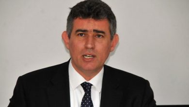"Türk polisi üniforması giyen üç beş kabadayı, çapulcu, sefil yaratık" 14 metin feyzioglu 19913773
