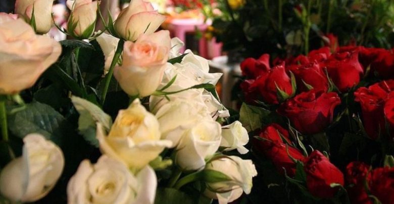 İlçe belediyesi çiçeğe 8.5 milyon lira harcadı iddiası 7 cicek 1240610