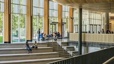 İŞKUR'dan üniversitelilere mevsimlik iş: Günlük 67 lira 9 universitee 12478