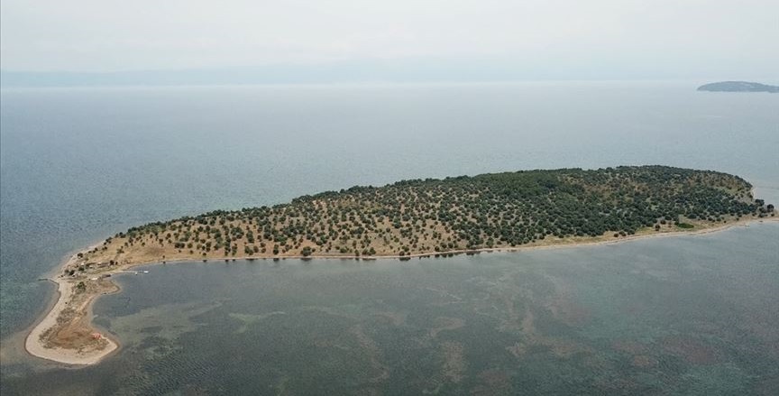 Ayvalık'ta sahibinden satılık ada! 1 cicek adasi ayvalik
