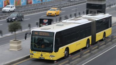 D5418132 BCEA 42E2 868B 3B99FE84A60A