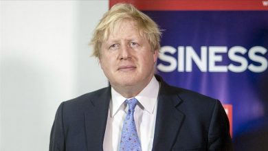 boris johnson basbakan