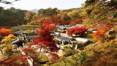Dosan Seowon - Güney Kore