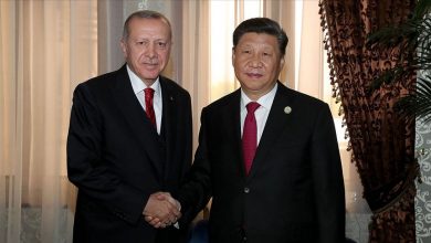 erdogan cin