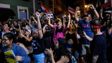 porto riko protestolar