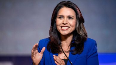 tulsi gabbard