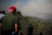 bursa yenisehir orman yangini
