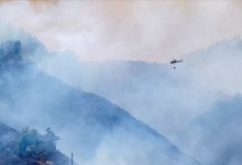 kanarya adalari yangin