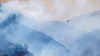 10 bin kişi tahliye edildi, 12 bin hektar orman kül oldu 7 kanarya adalari yangin