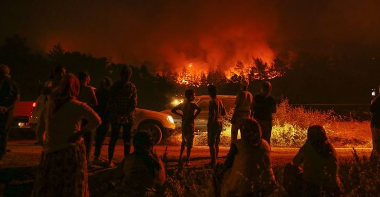 "500 değil 5 bin hektar orman yandı" 2 karabaglar yangin