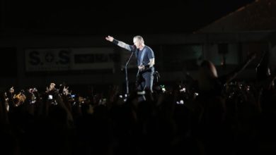 metallica 13971937