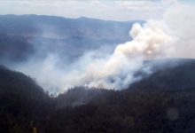 orhaneli ormanyangini