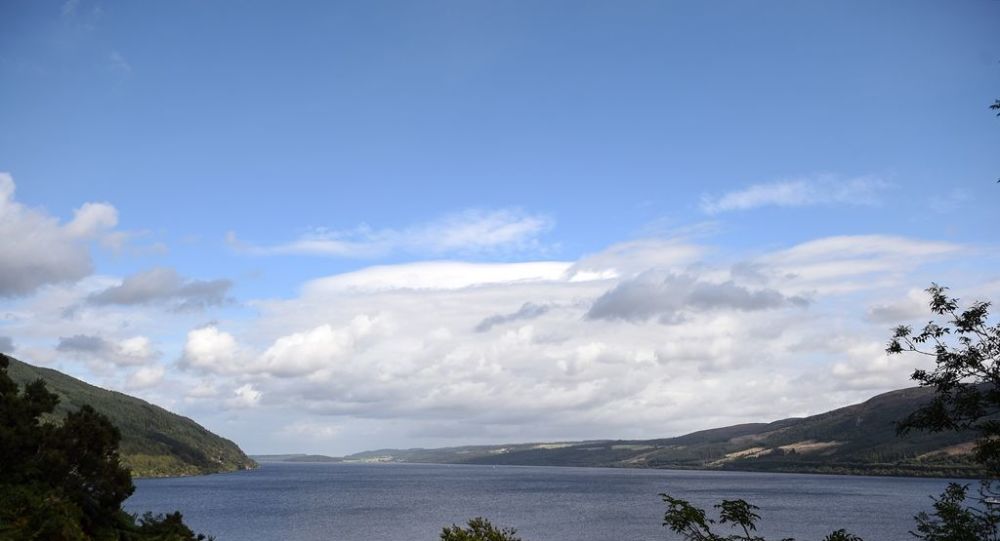 Uzmanlar "canavar" izi bulamadı: Yılan balığıdır o 1 loch ness