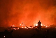 orman yangini brezilya