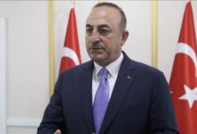 mevlut cavusoglu 1923882