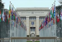 birlesmis milletler 19248711