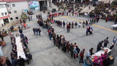 hamsi festivali