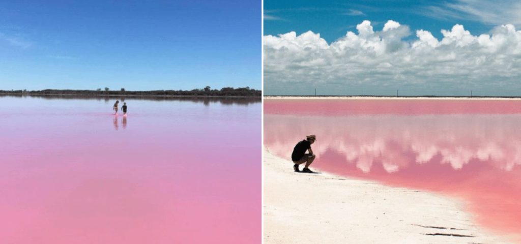 Pembe Lagün ve Flamengo Turu