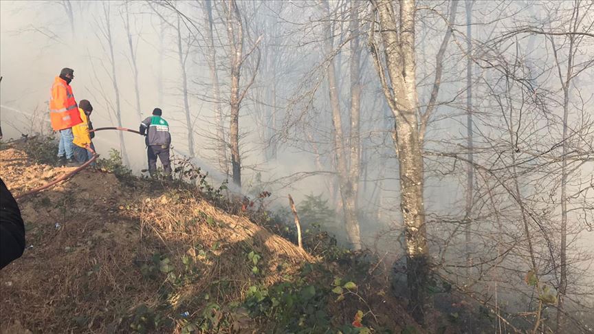 Karadeniz'deki tüm yangınlar kontrol altında 1 karadeniz yanginlar