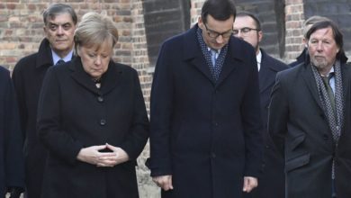 merkel toplama kampi