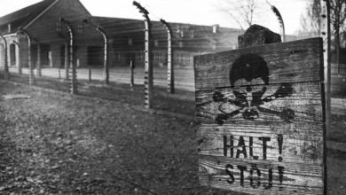 Auschwitz 1
